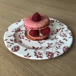 8 Assiettes Carton Rouge 20 Cm 9 8 Assiettes Carton Rouge 20 Cm -Vacances Vaisselle Magasin 8 assiettes carton rouge 20cm biodegradables et compostables 3