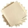 80 Serviettes Beiges 2 80 Serviettes Beiges -Vacances Vaisselle Magasin 80 serviettes biodegradables beiges