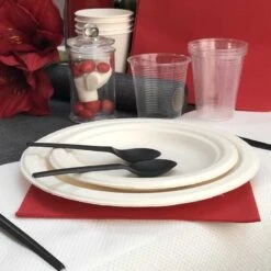 12 Assiettes Rondes Fibres Naturelles Blanches 23 Cm -Vacances Vaisselle Magasin assiette bio blanc macaron 23 cm home compost fibres vegetales par 20 2