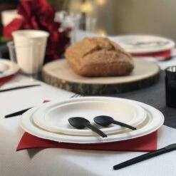 12 Assiettes Rondes Fibres Naturelles Blanches 23 Cm -Vacances Vaisselle Magasin assiette bio blanc macaron 23 cm home compost fibres vegetales par 20 3