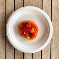 12 Assiettes Rondes Fibres Naturelles Blanches 23 Cm -Vacances Vaisselle Magasin assiette bio blanc macaron 23 cm home compost fibres vegetales par 20 5