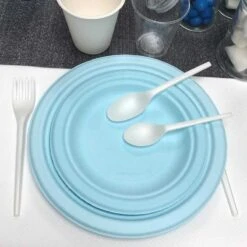 12 Assiettes Rondes Fibres Naturelles Bleues 23 Cm -Vacances Vaisselle Magasin assiette bio bleu macaron 23 cm home compost fibres vegetales par 12 2