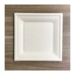 50 Assiettes Carrées Fibres Naturelles Blanches 20 Cm -Vacances Vaisselle Magasin assiette biodegradable carree 20 cm par 50 1