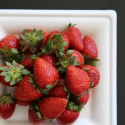 50 Assiettes Carrées Fibres Naturelles Blanches 20 Cm -Vacances Vaisselle Magasin assiette biodegradable carree 20 cm par 50 3