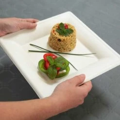 50 Assiettes Carrées Fibres Naturelles 26 Cm -Vacances Vaisselle Magasin assiette biodegradable carree 26 cm par 50 2