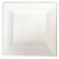 50 Assiettes Carrées Fibres Naturelles 26 Cm -Vacances Vaisselle Magasin assiette biodegradable carree 26 cm par 50 4