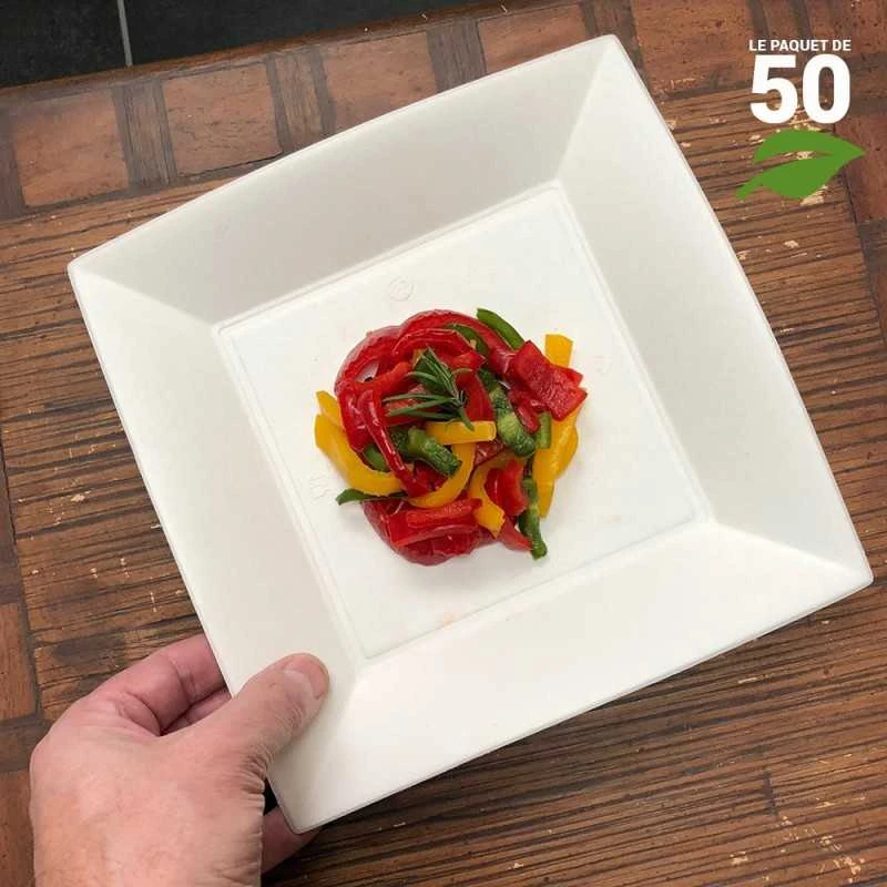 50 Assiettes Carrées Fibres Naturelles Design 23 Cm 4 50 Assiettes Carrées Fibres Naturelles Design 23 Cm – Image 2