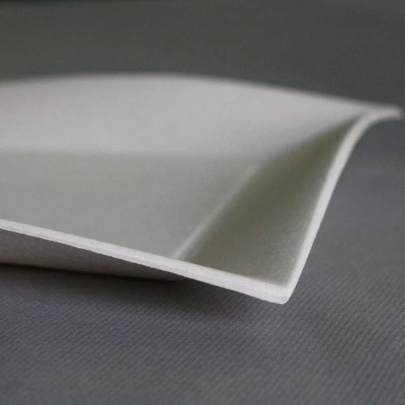 50 Assiettes Rectangulaires Fibres Naturelles Design 28 Cm 5 50 Assiettes Rectangulaires Fibres Naturelles Design 28 Cm – Image 3