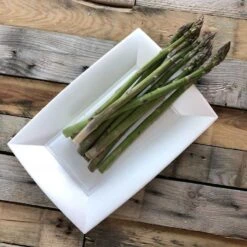 50 Assiettes Rectangulaires Fibres Naturelles Design 28 Cm 12 50 Assiettes Rectangulaires Fibres Naturelles Design 28 Cm -Vacances Vaisselle Magasin assiette biodegradable design rectangulaire 28 cm par 50 3