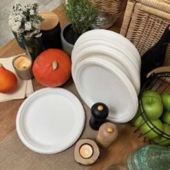 50 Assiettes Rondes 26 Cm -Vacances Vaisselle Magasin assiette biodegradable ronde 26 cm par 50 1 3