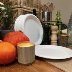 50 Assiettes Rondes 26 Cm -Vacances Vaisselle Magasin assiette biodegradable ronde 26 cm par 50 1 6