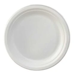 50 Assiettes Rondes 26 Cm -Vacances Vaisselle Magasin assiette biodegradable ronde 26 cm par 50 1 7