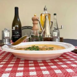 25 Assiettes Chaleur Creuse 21 Cm -Vacances Vaisselle Magasin assiette chaleur creuse 21 cm recyclable reutilisable par 25 5