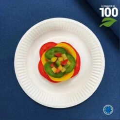 100 Assiettes Rondes Fibres Naturelles Blanches 18 Cm -Vacances Vaisselle Magasin assiettes biodegradables rondes 18 cm par 100 1