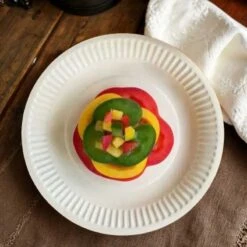 100 Assiettes Rondes Fibres Naturelles Blanches 18 Cm -Vacances Vaisselle Magasin assiettes biodegradables rondes 18 cm par 100 2