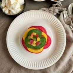 100 Assiettes Rondes Fibres Naturelles Blanches 18 Cm -Vacances Vaisselle Magasin assiettes biodegradables rondes 18 cm par 100 4