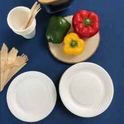 100 Assiettes Rondes Fibres Naturelles Blanches 18 Cm -Vacances Vaisselle Magasin assiettes biodegradables rondes 18 cm par 100 5