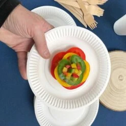 100 Assiettes Rondes Fibres Naturelles Blanches 18 Cm -Vacances Vaisselle Magasin assiettes biodegradables rondes 18 cm par 100 6