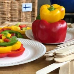 100 Assiettes Rondes Fibres Naturelles Blanches 18 Cm -Vacances Vaisselle Magasin assiettes biodegradables rondes 18 cm par 100 7