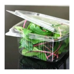 50 Barquettes Fraîcheur 1 Kg - Couvercle Attenant -Vacances Vaisselle Magasin barquette plastique fraicheur avec couvercle 1000gr 2