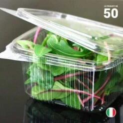 50 Barquettes Fraîcheur 1 Kg - Couvercle Attenant