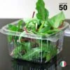 50 Barquettes Fraîcheur 500 Gr - Couvercle Attenant -Vacances Vaisselle Magasin barquette plastique fraicheur avec couvercle 500gr