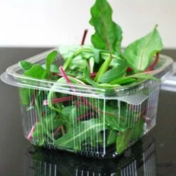 50 Barquettes Fraîcheur 500 Gr - Couvercle Attenant -Vacances Vaisselle Magasin barquette plastique fraicheur avec couvercle 500gr 2