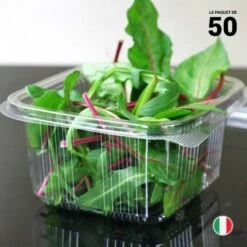50 Barquettes Fraîcheur 500 Gr - Couvercle Attenant