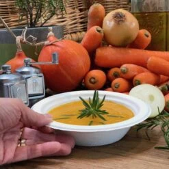 50 Bols Multi-usages 40 Cl -Vacances Vaisselle Magasin bol multi usages 40 cl biodegradable par 50 3