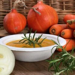 50 Bols Multi-usages 40 Cl -Vacances Vaisselle Magasin bol multi usages 40 cl biodegradable par 50 4