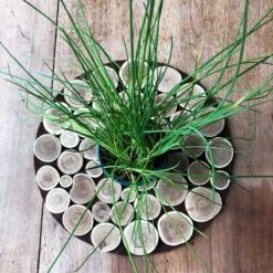 Centre De Table Déco Bois Rond 30 Cm 10 Centre De Table Déco Bois Rond 30 Cm -Vacances Vaisselle Magasin centre de table deco bois rond 30 cm 3