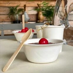 50 Coupelles Fibres Naturelles 25 Cl -Vacances Vaisselle Magasin coupelle 25 cl biodegradable par 50 1