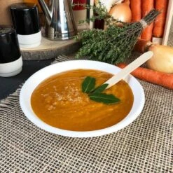 50 Coupelles Plates 46 Cl 17 50 Coupelles Plates 46 Cl -Vacances Vaisselle Magasin coupelle plate 46 cl biodegradable par 50 6