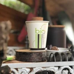 50 Gobelet Nature 24 Cl 11 50 Gobelet Nature 24 Cl -Vacances Vaisselle Magasin gobelet carton pla 24 cl biodegradable compostable par 50 2