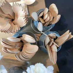 100 Grandes Cuillères Bois 16 Cm 8 100 Grandes Cuillères Bois 16 Cm -Vacances Vaisselle Magasin grande cuillere bois 16cm biodegradable par 100 1