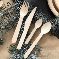 100 Grandes Cuillères Bois 16 Cm 10 100 Grandes Cuillères Bois 16 Cm -Vacances Vaisselle Magasin grande cuillere bois 16cm biodegradable par 100 3