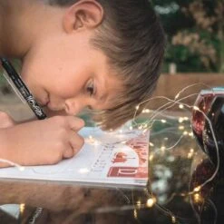 Guirlande Lumineuse 50 LEDS 5 M -Vacances Vaisselle Magasin guirlande lumineuse 50 leds 5 metres 4