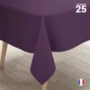 Nappe En Non-tissé Aubergine 25 M -Vacances Vaisselle Magasin nappe en non tisse aubergine 25 metres
