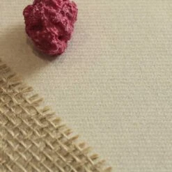 Nappe En Non-tissé Ivoire 10 M -Vacances Vaisselle Magasin nappes en non tisse ivoire 10 metres 5