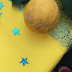 Nappe En Non-tissé Jaune Citron 10 M -Vacances Vaisselle Magasin nappes en non tisse jaune citron 10 metres 5