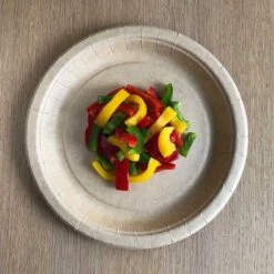 Vacances Vaisselle Magasin -Vacances Vaisselle Magasin pack 100 assiettes carton design 1