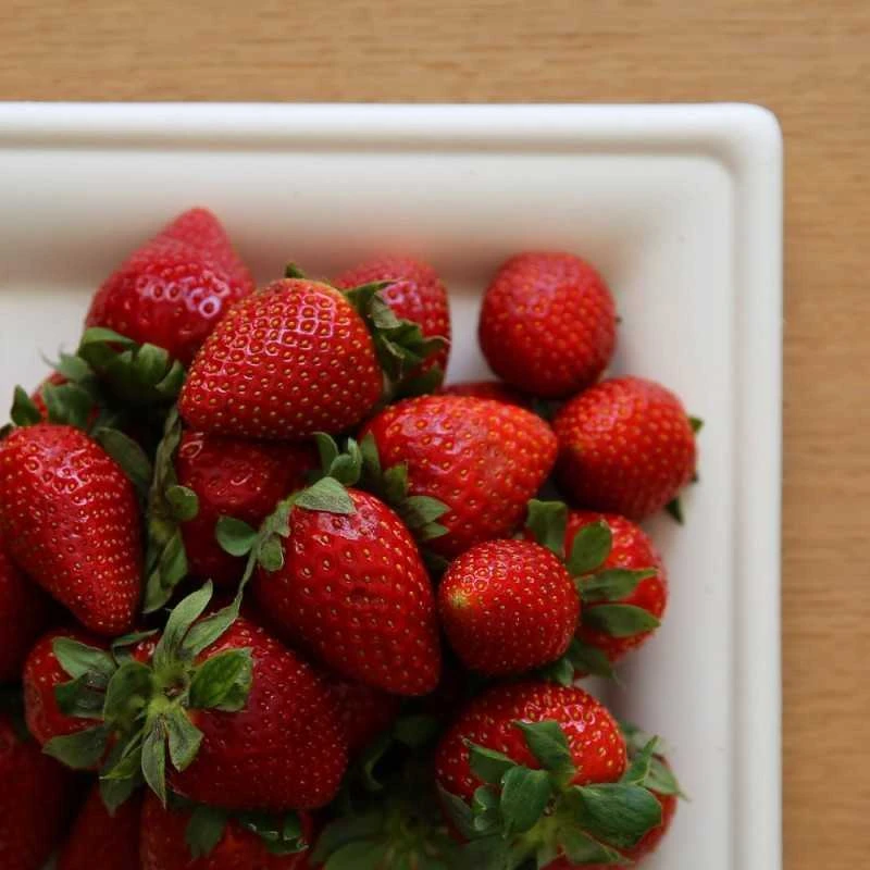 Pack 2 X 50 Assiettes Fibre Nature Carrées 16 Et 20 Cm 6 Pack 2 X 50 Assiettes Fibre Nature Carrées 16 Et 20 Cm – Image 4