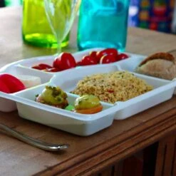 Pack 100 Plateaux Repas 5 Cases 17 Pack 100 Plateaux Repas 5 Cases -Vacances Vaisselle Magasin pack 100 plateaux repas 5 cases recyclables reutilisables 4