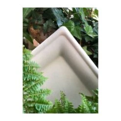 Pack 2 X 50 Assiettes Fibre Naturelle Carrée26-20 Cm -Vacances Vaisselle Magasin pack 2 x 50 assiettes fibre naturelle carree 26 20 cm 2