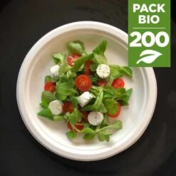 Pack 200 Assiettes Rondes 23 Cm -Vacances Vaisselle Magasin pack 200 assiettes rondes 23cm biodegradables et compostables 1