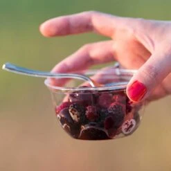 Pack 250 Coupelles Cristal 23 Cl -Vacances Vaisselle Magasin pack 200 coupelles cristal 23cl 50 gratuites 1