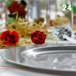 24 Assiettes Luxe Grises 2 Tailles Assorties -Vacances Vaisselle Magasin pack 24 assiettes grises lavables reutilisables 2