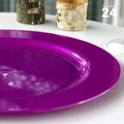 Pack 24 Assiettes Luxe Prune 24 Cm Et 19 Cm -Vacances Vaisselle Magasin pack 24 assiettes prune lavables reutilisables 1