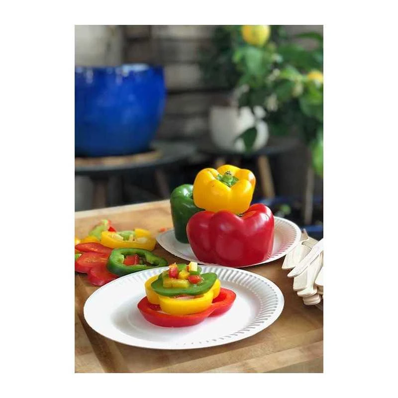 Pack 2 X 100 Assiettes Carton Blanc 18 & 23 Cm Nature 5 Pack 2 X 100 Assiettes Carton Blanc 18 & 23 Cm Nature – Image 3