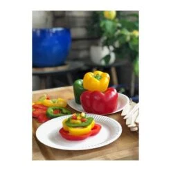 Pack 3 X 200 Assiettes Blanches Carton 15, 18, 23 Cm -Vacances Vaisselle Magasin pack 3 x 200 assiettes blanches carton 15 18 23 cm 2